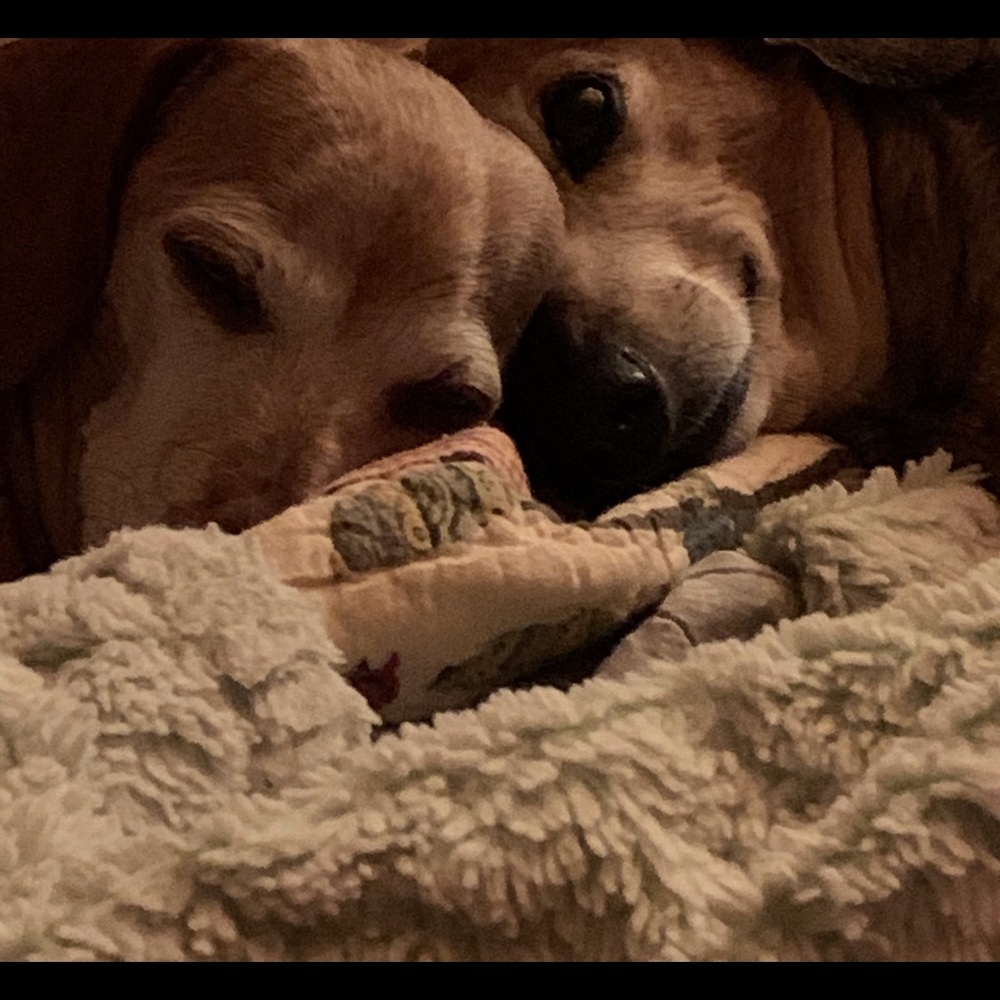 Meet your Posher, Merrilee